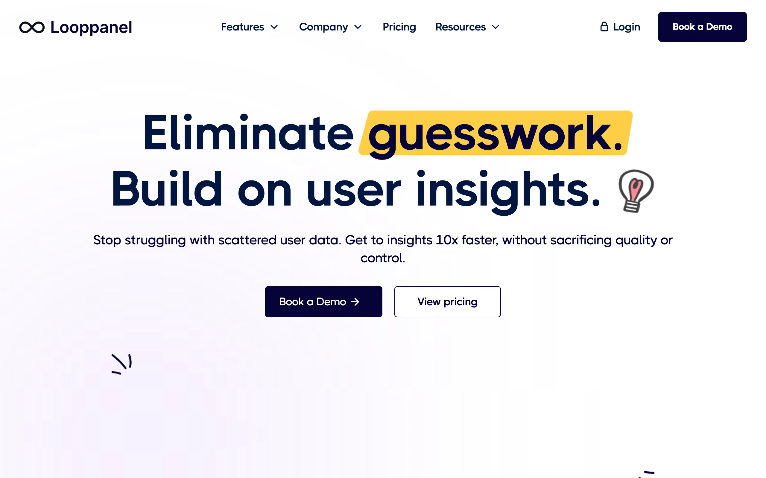 Screenshot of the Looppanel homepage